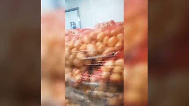 картофель мытый оптом брянская область смотреть онлайн