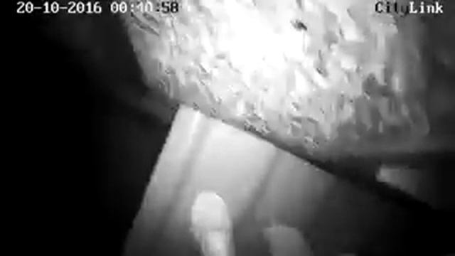 Подслушано в Сегеже смотреть онлайн