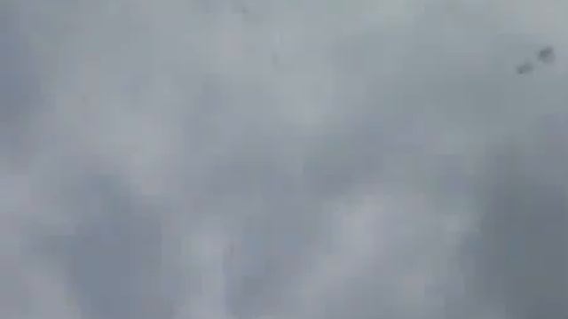 Под Харькововм нашли больше тысячи мертвых гусей смотреть онлайн