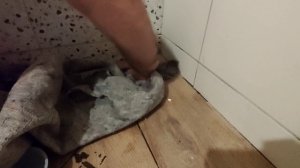 Сухой затвор установка / Как устранить запах канализации в душе