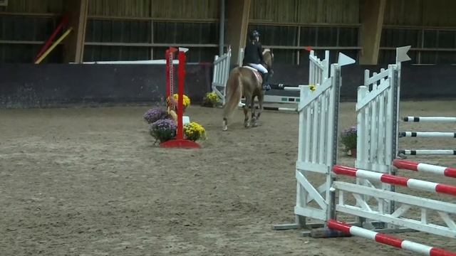 101 St Aubin P2 Victoria Vent du Sud 15112014 смотреть онлайн