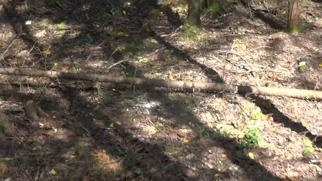 Обзор места, выбранного под проект 