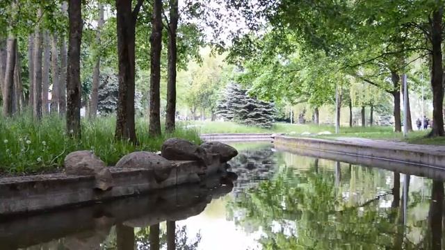 СОСЕД ЗАКАТЫВАЛ МОЮ ЖЕНУ НА ДАЧЕ. Интересные истории из жизни. Жизненные истории, аудио рассказы смотреть онлайн