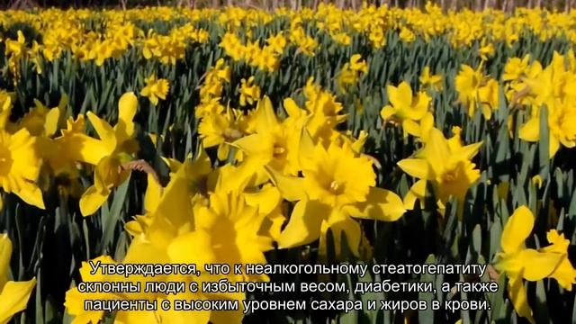 Красные руки назвали симптомом смертельной болезни смотреть онлайн