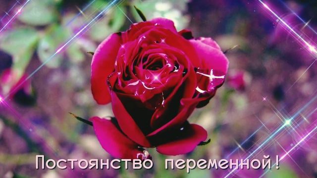 Видео открытка Женщине смотреть онлайн