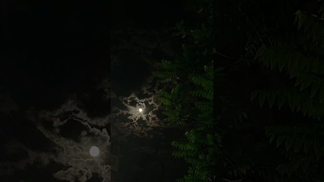 Sadraddin - Aiga Qarap 2023