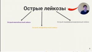 ЛЕЙКОЗЫ. ОТ А ДО Я. ПАТОФИЗИОЛОГИЯ