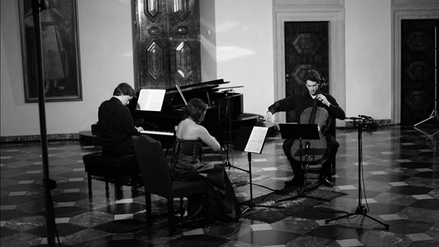 Chopin Piano Trio - M. Stabrawa, K. Sadłowski, P. Kosiński