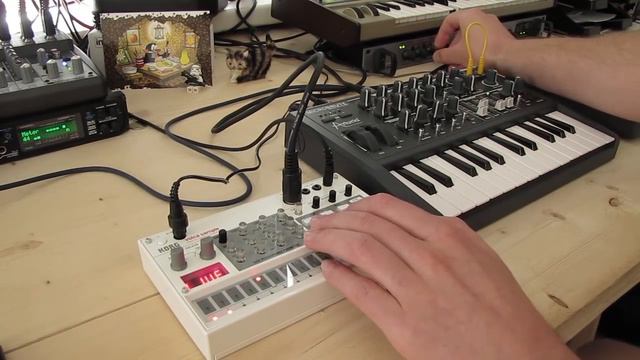 Live Jam #37 - Minimal / Techno - Korg Volca Sample and Arturia Microbrute смотреть онлайн