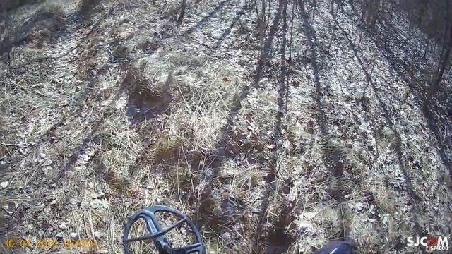 Поиск монет с NOKTA THE LEGEND с большой катушкой LG35