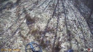 Поиск монет с NOKTA THE LEGEND с большой катушкой LG35