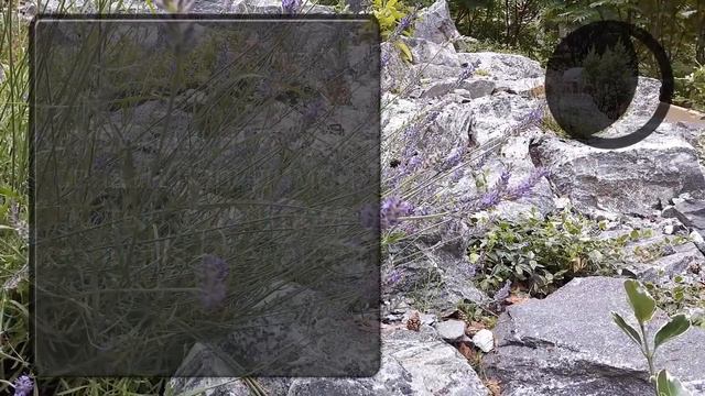 Волшебное Новолуние 20 июля 2020. Прогноз для знака Рак. Звуковые вибрации для Раков смотреть онлайн