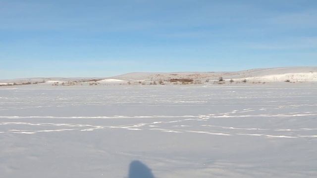 Самый хитрый судак! Ловля судака на жерлицы! Судаки воруют живца! смотреть онлайн