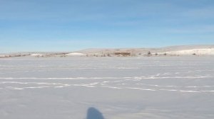 Самый хитрый судак! Ловля судака на жерлицы! Судаки воруют живца!