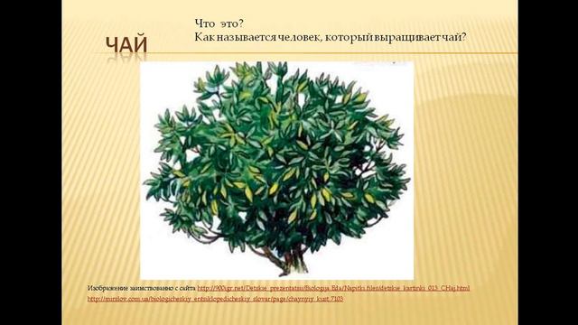 Угадай профессию Дид игра с детьми 5 7 лет смотреть онлайн