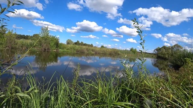 РЫБАЛКА С НОЧЁВКОЙ!!!ТАЕЖНЫЙ БЫТ!!ЛОВЛЯ НА УДОЧКУ И СПИННИНГ!!#SergeiBryanskFishStory смотреть онлайн