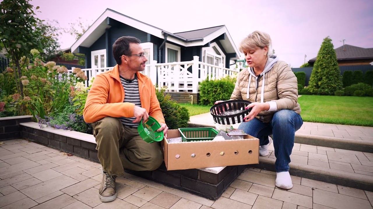 Все о луковичных растениях | Все в Сад смотреть онлайн