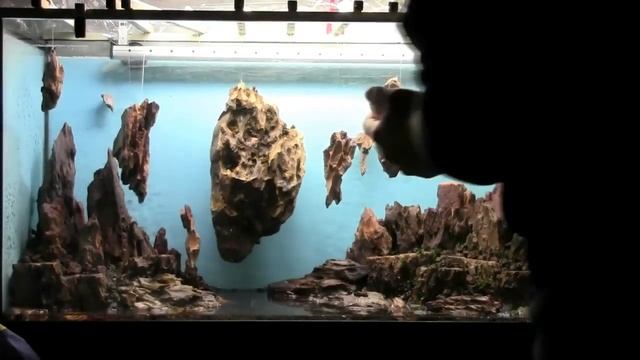 Allestimento acquario fantasy Aquarium Setup - Aquascape Esercitazioni Jedi STEP 2 смотреть онлайн