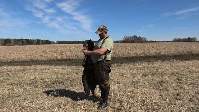 Отличный костюм для охоты CARIBOU S05 Brown. смотреть онлайн