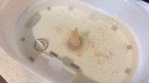 ЧИСТИМ ПАРОВАРКУ от накипи/Пароварка PHILIPS HD9104/00