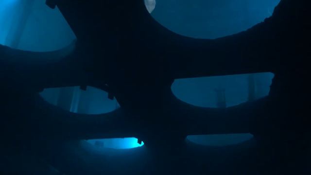 Gamma Festival. Tundra. Saint-Petersburg (15.07.2017) смотреть онлайн