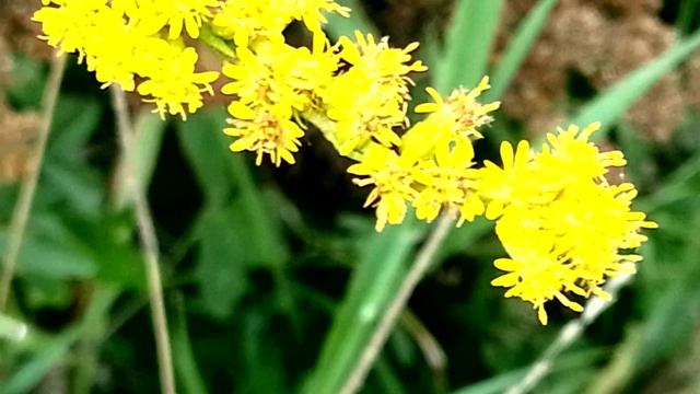 У дороги смотреть онлайн