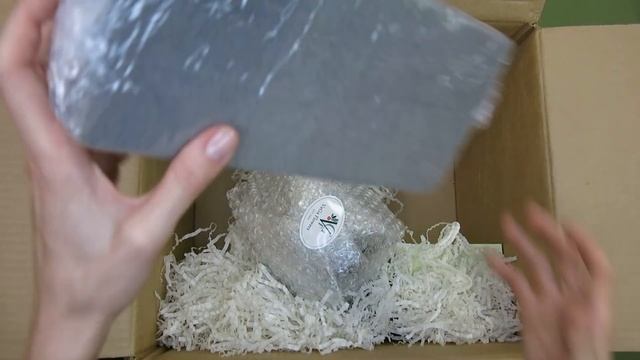 Флорбокс / набор для флориста по стабилизированным цветам Vega Flowers смотреть онлайн