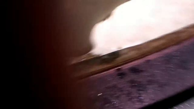 Крутые акулы и скаты. смотреть онлайн