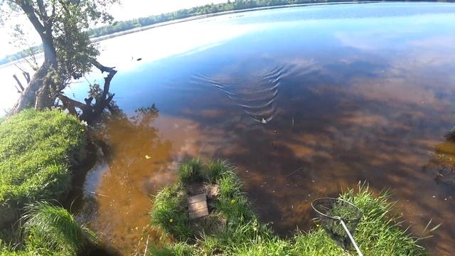 Рыбалка на Волге май 2021 смотреть онлайн