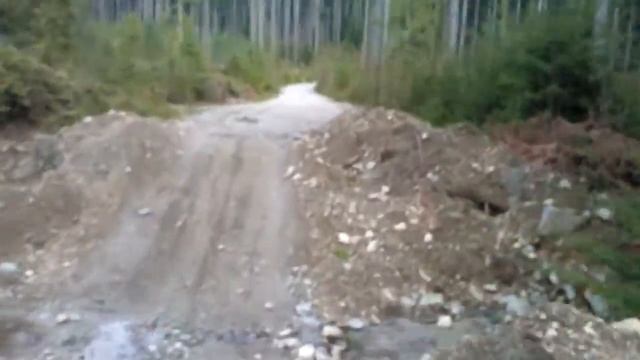 deactivation ditch смотреть онлайн