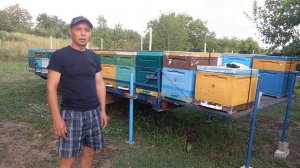 Обзор прицепов для перевозки пчел