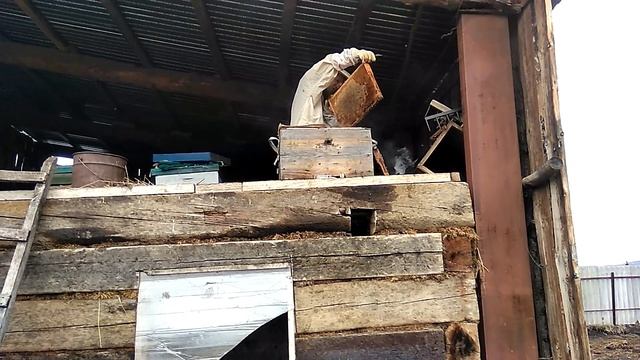 Осмотр ульев.Кто кусает больнее оса или пчела? смотреть онлайн