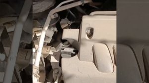 Nissan X-Trail.Где расположен VIN номер и номер двигателя.