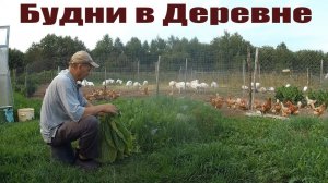 Вроде все деревенские будни одинаковы, но на самом деле - разные!