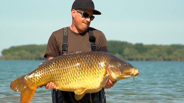 Carligele de pescuit la crap in situatii extreme - FOX EDGES X смотреть онлайн