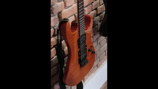 Guitarra Washburn X Series смотреть онлайн