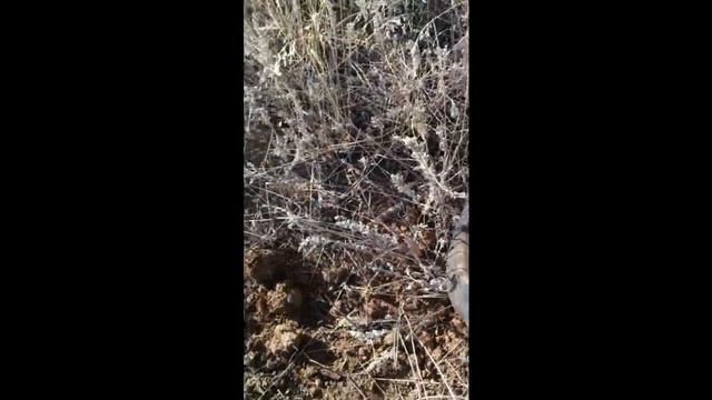 коп по старине №1 с теркой 705 смотреть онлайн