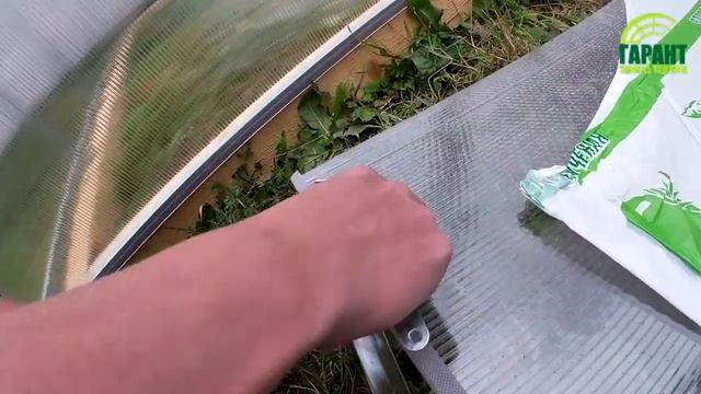 Сборка теплицы из поликарбоната смотреть онлайн