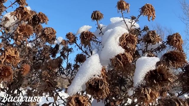 19 февраля народный праздник День Вукола. Что нельзя делать. Народные традиции и приметы. смотреть онлайн