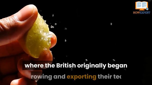 HowExpert Guide to Tea: 101 Tips to Learn about, Make, Drink Tea - Chapter 1 Preview Book/Audiobook смотреть онлайн