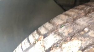 Стук рулевой карданчик Kia Sportage 2019