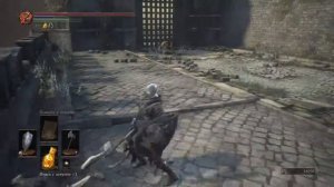 Dark Souls 3 Секретный проход (Старший волк Фаррона)