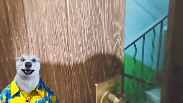 Реакция на „Кто взломал Ходилки Бродилки".Поговорим смотреть онлайн