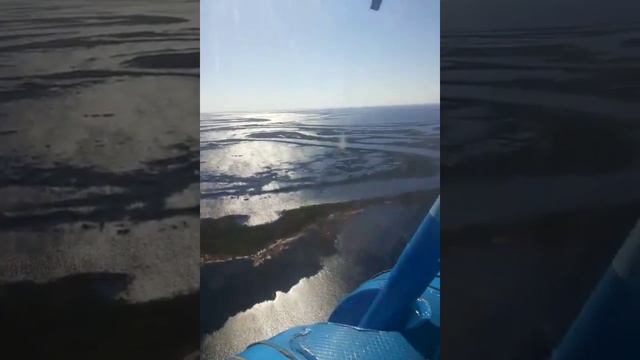 Тундра летом с птичьего полета. смотреть онлайн