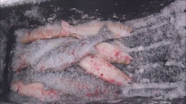 Рыбалка в Подмосковье и Москве(зимняя,летняя) смотреть онлайн