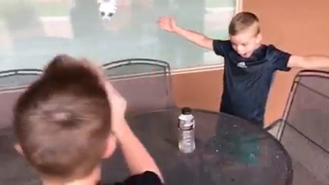 Bottle flip Mannequin challenge смотреть онлайн