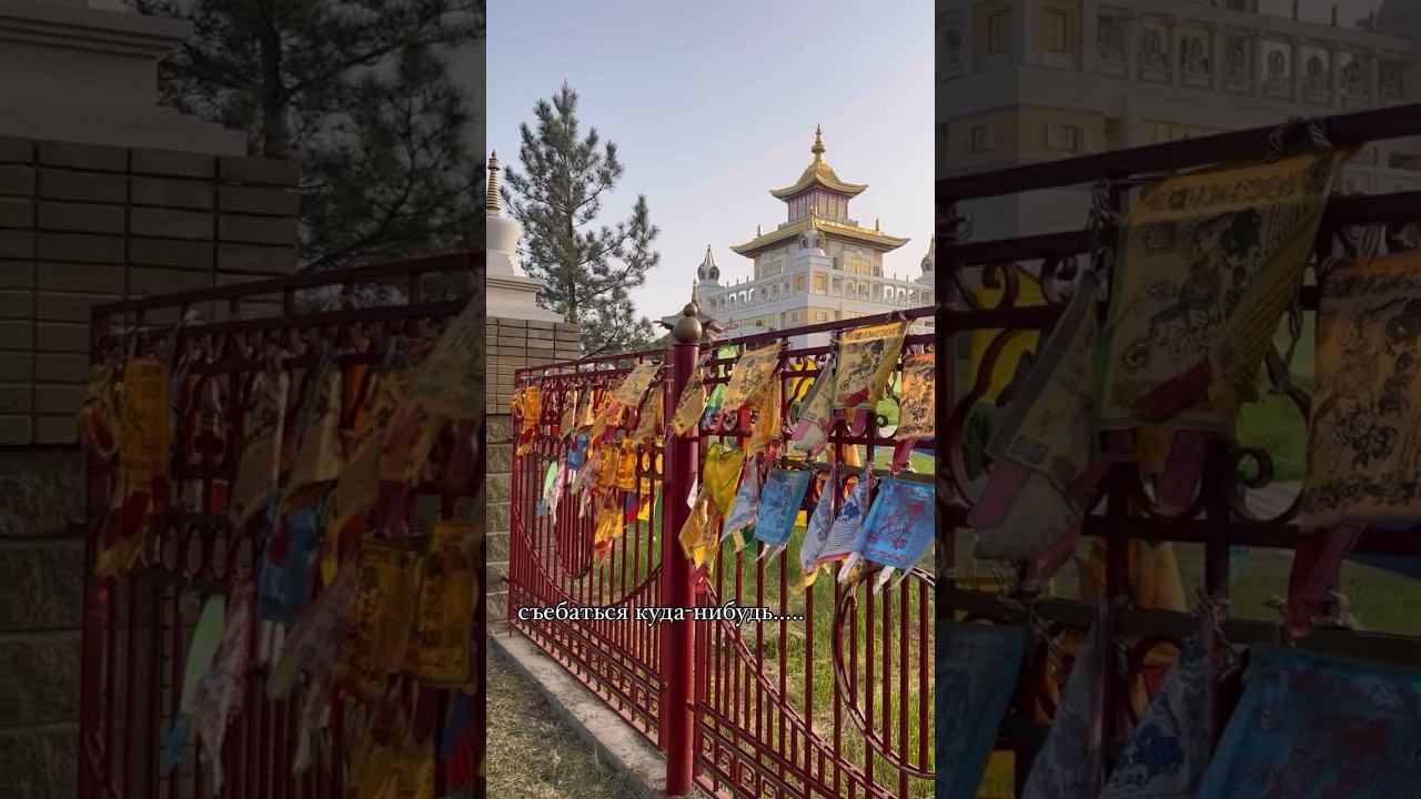 На канале уже есть большой влог с путешествия#влог #путешествия #путешествуемпороссии #2024shorts