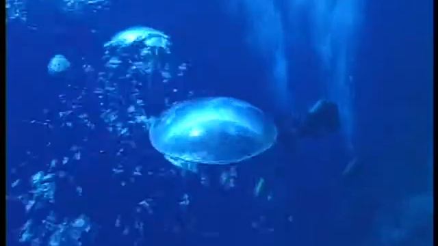 Blue Hole youtube смотреть онлайн