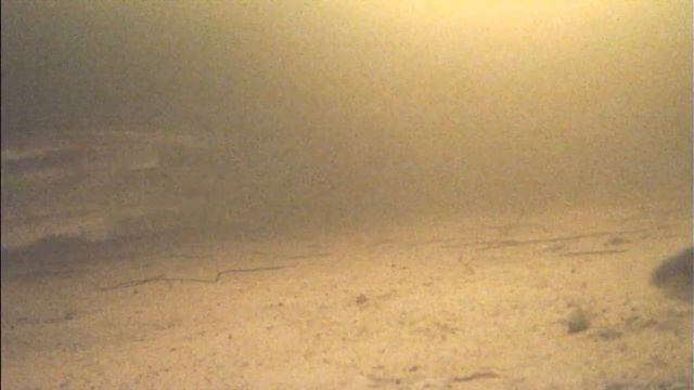 Вежма .Ловим навагу и корюшку смотреть онлайн