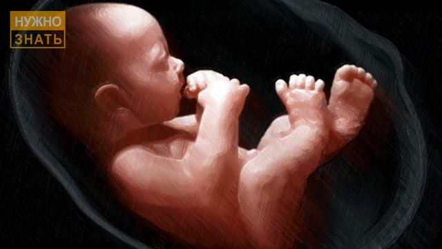 34 неделя беременности. Развитие плода. Что чувствует беременная. Как выглядит ребенок на 33 неделе смотреть онлайн